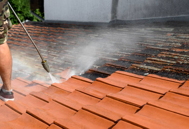Best Deck Cleaning Services  in Prairie Grove, AR