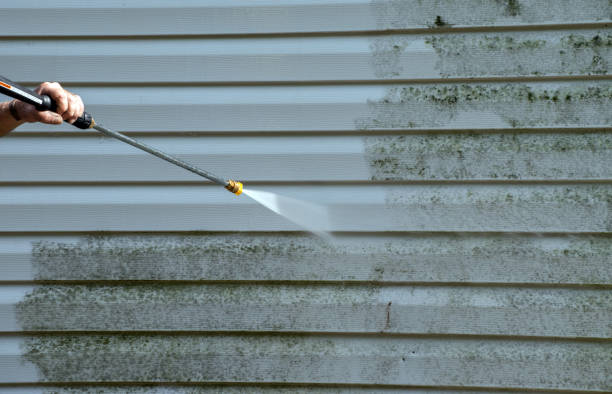 Best Deck Pressure Washing  in Prairie Grove, AR